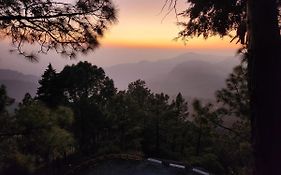 Mountain Golden Ray